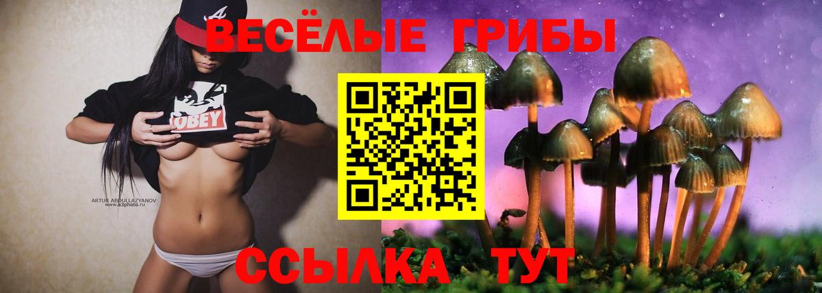 Псилоцибиновые грибы Magic Shrooms  Вход с VPN  Тосно 
